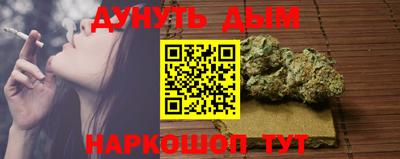 шишки Славгород