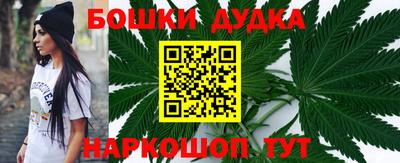 Альфа ПВП Сланцы