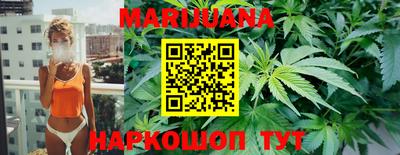 шишки Славгород