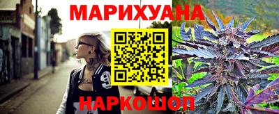 сатива Ставрополь