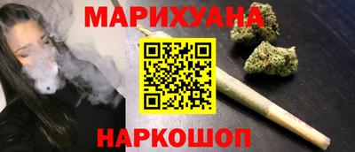 сатива Ставрополь