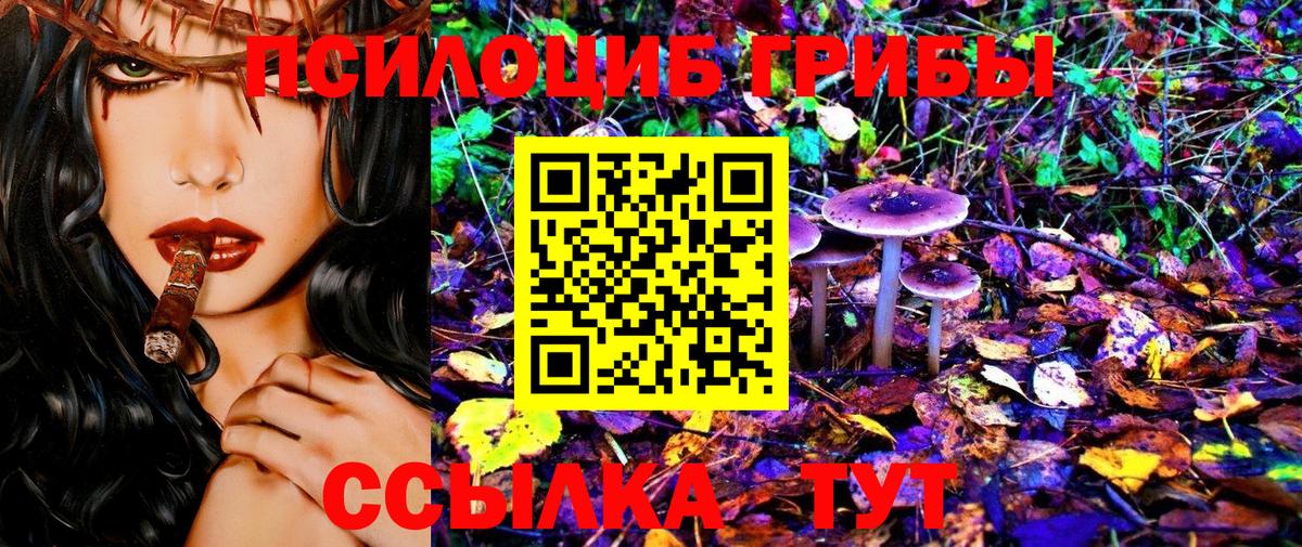 даркнет сайт  Псилоцибиновые грибы MAGIC MUSHROOMS  Вход с VPN  Магадан 